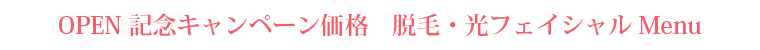 都度払い1回価格